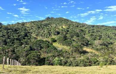 Imagem 14: Belíssimos Lotes Rodeados de Natureza