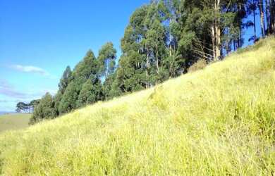 Imagem: O terreno possui 20.000m² de Área Privada e está localizado