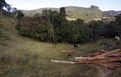 Imagem 14: Belíssima área com linda vista próxima à cachoeira dos Henriques