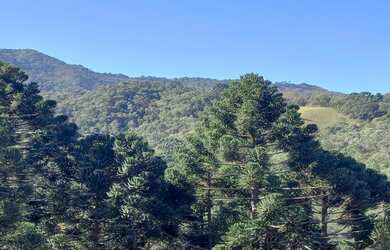 Imagem 8: Lindo Terreno com vista para Pedra do Jair