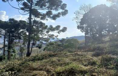 Imagem 5: Lindo Terreno com Vista Deslumbrante, Nascente e Ótima Topografia