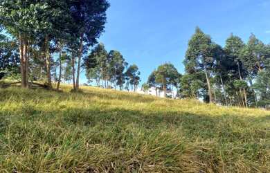 Imagem 11: Lindo Terreno com Vista Deslumbrante, Nascente e Ótima Topografia