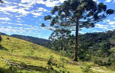 Imagem: O terreno possui 5.000m² de Área Privada e está localizado