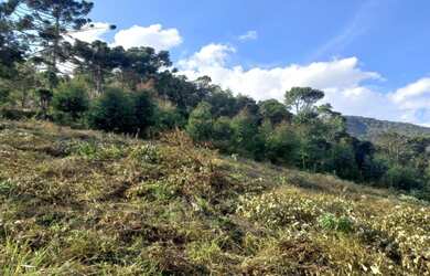 Imagem: A fazenda possui 24200m² de Área e está localizado em Centro