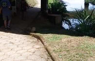 Imagem 7: Terreno em Condomínio para Venda em Caraguatatuba / SP no bairro Massaguaçu