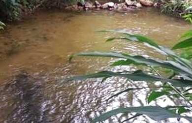 Imagem 8: Terreno em Condomínio para Venda em Caraguatatuba / SP no bairro Massaguaçu