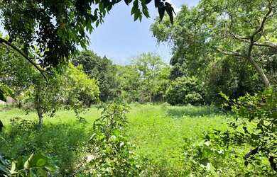 Imagem 1: Terreno à venda, 5100 m² por RS 600.000,00 - Santa Etelvina - Manaus-AM