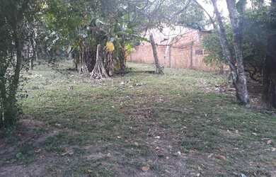 Imagem 13: Terreno à venda, 5100 m² por RS 600.000,00 - Santa Etelvina - Manaus-AM