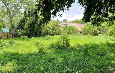 Imagem 2: Terreno à venda, 5100 m² por RS 600.000,00 - Santa Etelvina - Manaus-AM