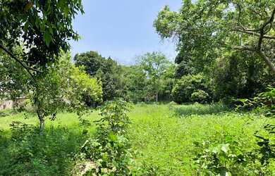 Imagem 3: Terreno à venda, 5100 m² por RS 600.000,00 - Santa Etelvina - Manaus-AM