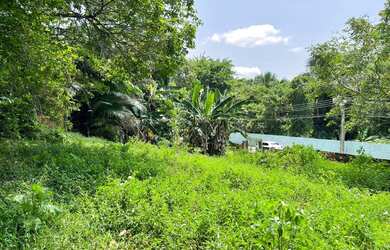 Imagem 4: Terreno à venda, 5100 m² por RS 600.000,00 - Santa Etelvina - Manaus-AM