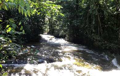 Imagem: O terreno e está localizado em Área Rural, Manaus à venda