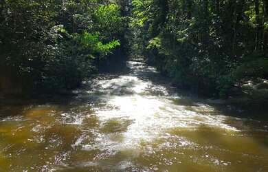Imagem 10: Corredeira à venda, 750000 m² por RS 500.000 - Área Rural - Manaus-AM