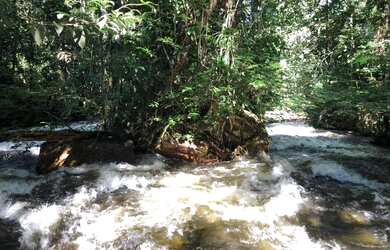 Imagem 11: Corredeira à venda, 750000 m² por RS 500.000 - Área Rural - Manaus-AM