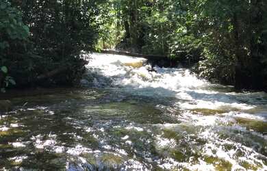 Imagem 12: Corredeira à venda, 750000 m² por RS 500.000 - Área Rural - Manaus-AM