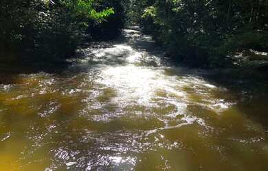 Imagem 14: Corredeira à venda, 750000 m² por RS 500.000 - Área Rural - Manaus-AM