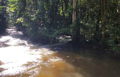 Imagem 16: Corredeira à venda, 750000 m² por RS 500.000 - Área Rural - Manaus-AM