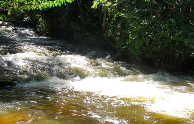 Imagem 2: Corredeira à venda, 750000 m² por RS 500.000 - Área Rural - Manaus-AM