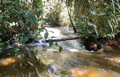 Imagem 3: Corredeira à venda, 750000 m² por RS 500.000 - Área Rural - Manaus-AM