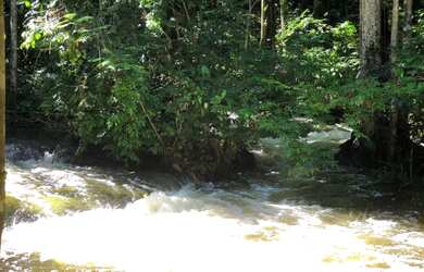 Imagem 4: Corredeira à venda, 750000 m² por RS 500.000 - Área Rural - Manaus-AM