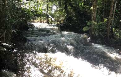 Imagem 7: Corredeira à venda, 750000 m² por RS 500.000 - Área Rural - Manaus-AM