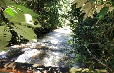 Imagem 8: Corredeira à venda, 750000 m² por RS 500.000 - Área Rural - Manaus-AM