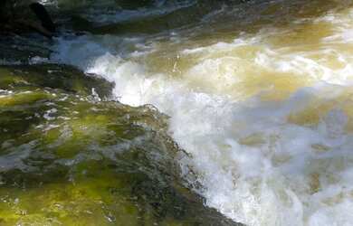 Imagem 9: Corredeira à venda, 750000 m² por RS 500.000 - Área Rural - Manaus-AM