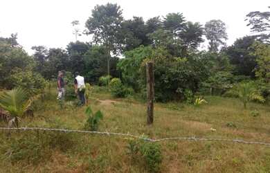 Imagem 3: Terreno à venda, 400 m² por RS 25.000,00 - Zona Rural - Iranduba-AM