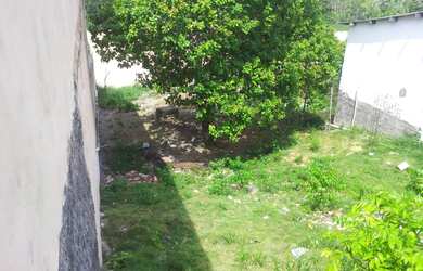 Imagem: O terreno está localizado em Cidade Nova, Manaus à venda por