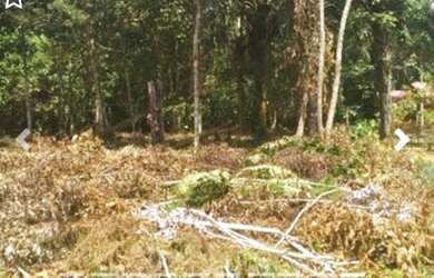 Imagem 2: Terreno à venda, 1000 m² por RS 30.000 - Bela Vista - Iranduba-AM