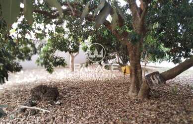 Imagem: O terreno possui 290m² de Área e está localizado em Parque