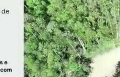 Imagem 1: Fazenda à venda, 1563600 m² por RS 11.000.000,00 - RIO APIAI - Ribeirão...