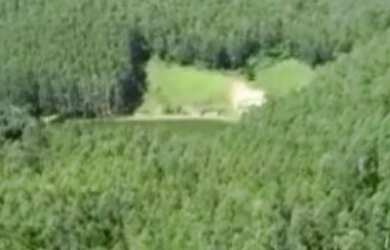 Imagem 7: Fazenda à venda, 1563600 m² por RS 11.000.000,00 - RIO APIAI - Ribeirão...