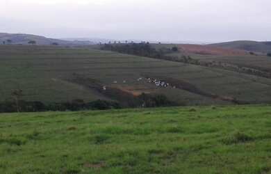 Imagem: A chácara possui 5 Dormitórios, 2 Suítes, 6 Banheiros, 16