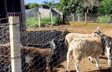 Imagem: A chácara possui 5 Dormitórios, 3 Banheiros, 5 Vagas na garagem