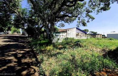 Imagem 5: Terreno Jd. Gramado - São Cristóvão