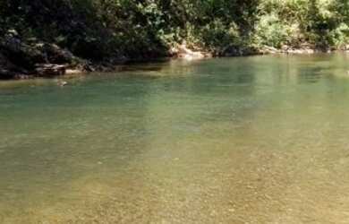 Imagem: A fazenda está localizado em Minaçu, GO à venda por R$2.000.000