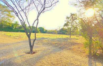 Imagem 9: Chácara lote em condomínio fechado alto da Boa Vista em senador Canedo