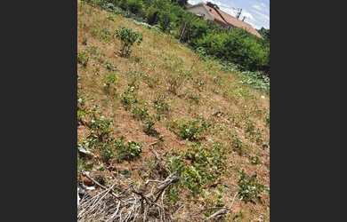 Imagem 3: Terreno em Tapejara-Pr. 787m² de Área
