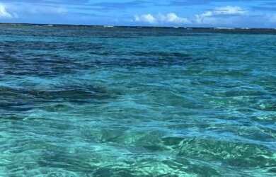 Imagem 5: 1513- Lindissima casa beira mar de Maragogi 26 pessoas, 7 suites - locaçao...