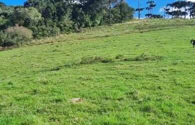 Imagem: O terreno possui 30.000m² de Área e está localizado em Urubici