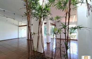 Imagem 9: Casa térrea na rua 3 dormitórios/suite, cozinha planejada