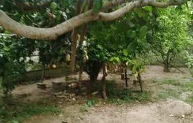 Imagem 3: Casa em Iguabinha, Araruama