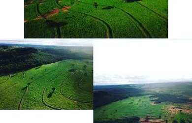 Imagem: A fazenda possui 14.800.000m² de Área e está localizado