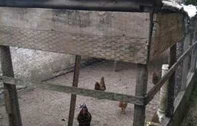 Imagem 2: Casa em Iguabinha, Araruama