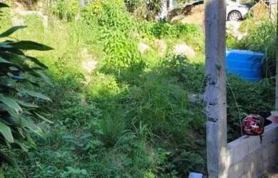 Imagem 3: Casa 3 quartos vendo ou alugo