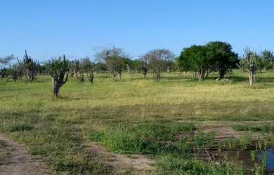 Imagem: A fazenda possui 118m² de Área Privada e está localizado