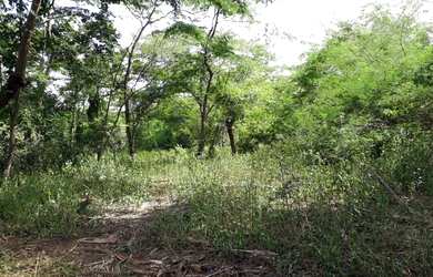 Imagem 5: Chácara de 14,52 HEC em Água Fria - 5Km da cidade