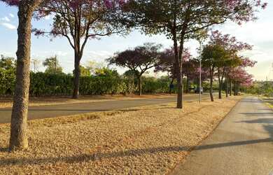 Imagem 15: Chácara lote em condomínio fechado alto da Boa Vista em senador Canedo