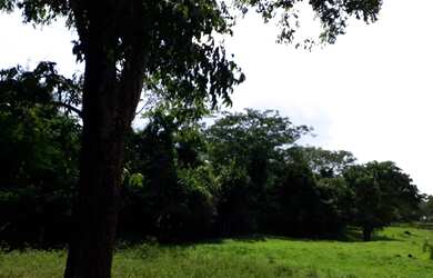 Imagem 3: Chácara de 14,52 HEC em Água Fria - 5Km da cidade